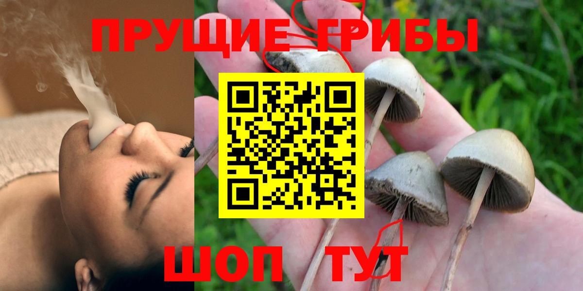 Валуйки  Галлюциногенные грибы мухоморы  Вход с VPN 